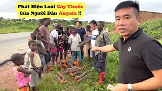 Nguyễn Tiến || Phát Hiện Loài Cây Thuốc Của Người Dân Angola !!