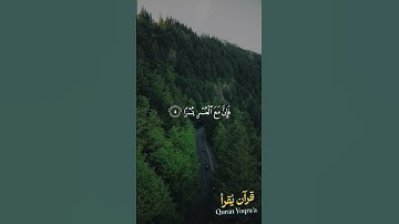 ألم نشرح لك صدرك #سورة_الشرح #القرآن_الكريم #اسلام_صبحي #اكسبلور#راحة_نفسية #تلاوة_خاشعة  #لايك
