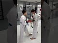 Kyokushin karate tournament  brutal preparation shorts kyokushinkai