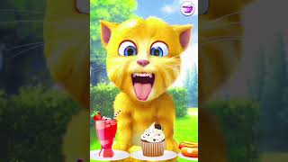 talking ginger funny videos || 🐒🐈😹🙀