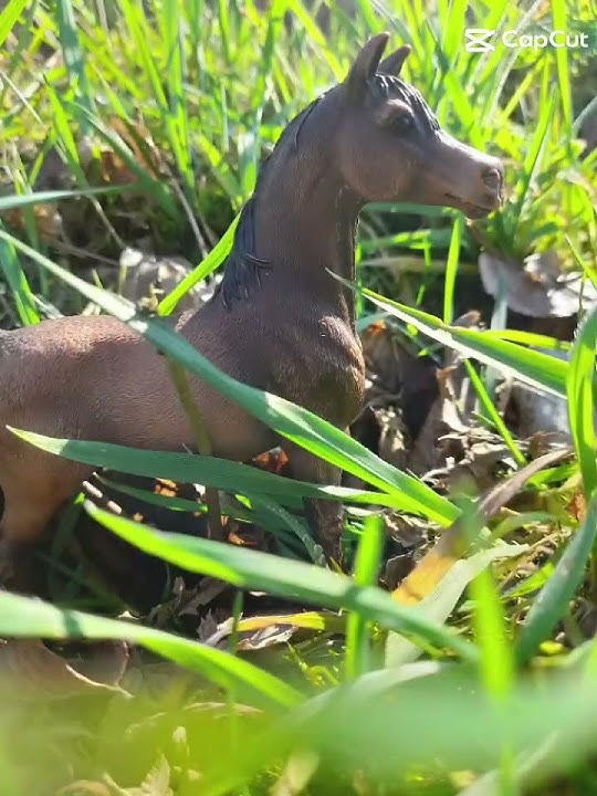 Schleich Fotografien von heute💗#photography #realpic #schleich