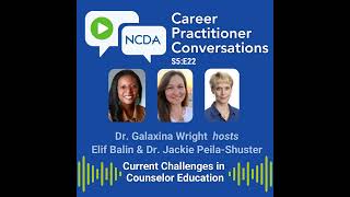 Current Challenges in Career Counselor Education: Addressing Accreditation, Social Justice, and M...