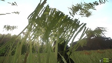 Miscreated bug