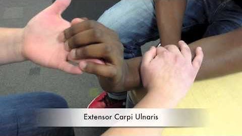 Manual Muscle Test for Extensor Carpi Ulnaris