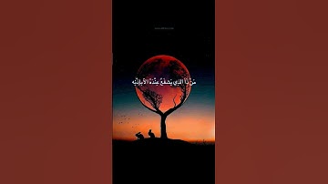 القارئ عبد الرحمان مسعد || تلاوة تخشع لها القلوب || آية الكرسي 🍁