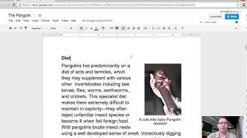 Vocaroo, QR Codes and Google Docs