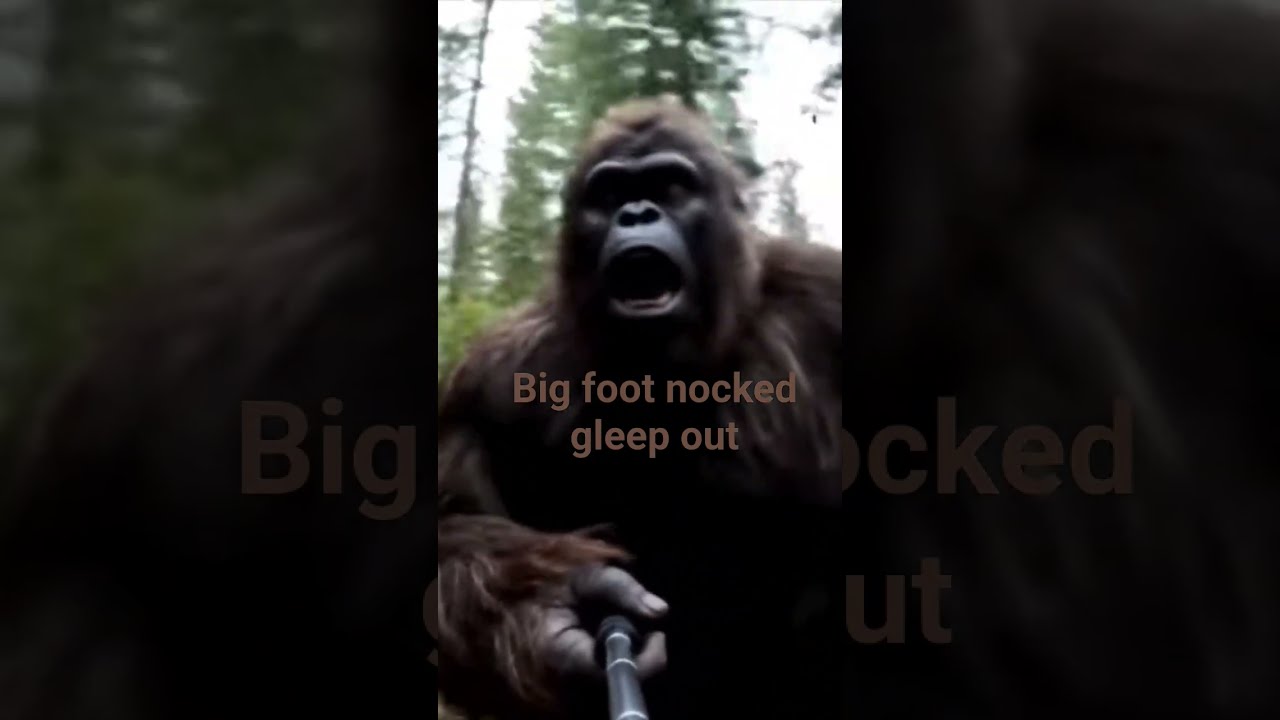  Gleep Bigfoot