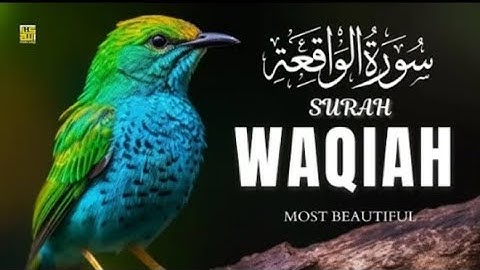 Relaxing Surah Al Waqiah سورة الواقعة | Heart Touching Marvelous Quran | Surah Waqiah Tilawat