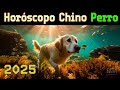 El Perro En 2025 ВїQuГ Revela El HorГіscopo Chino рџђ El Perro En 2025 ВїQuГ Revela El HorГіscopo Chino рџђ