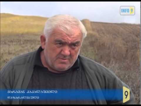 „გადასახადებს ჩვენ ვიხდით, \"