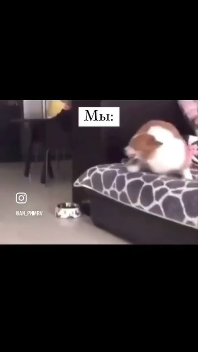 Особенно, когда дело дошло до того, кто меняет подгузник ребенку😄 - YouTube