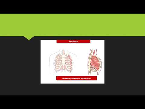 ს უ ნ თ ქ ვ ა 2