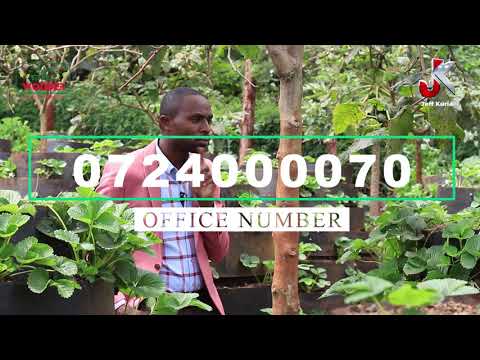 Video: Apple garden - biashara au hobby?