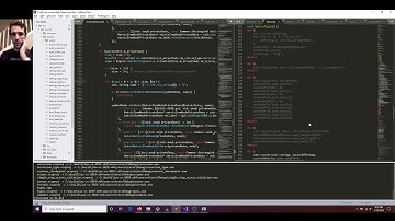 Debugger Programming 5: Native Visualizers std::map and base classes in the type system.