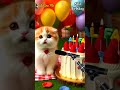 ALIFA HAPPY BIRTHDAY HAPPY BIRTHDAY SONG WITH NAMES Adorable Cute Cat Happybirthday Cat 