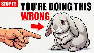 Things Rabbit Owners Do Wrong Every Day (Avoid These Common Bunny Care Mistakes)
