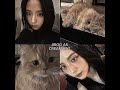 Blackpink as cats! #blackpink #rose #lisa #jennie #jisoo#blink #shorts#trending#fyp#viral #kimhooram