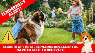 Secrets of the St. Bernards Revealed 🔴 What We Discover Will Surprise You! by PetsLand 129 views 2 months ago 2 minutes, 35 seconds