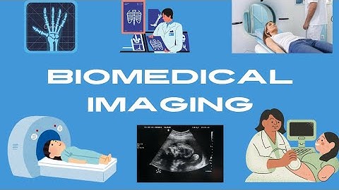 The Fascinating World of Biomedical Imaging