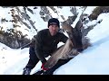 Monster 14" plus Bull Tahr(Ice King),Chammy and Two full chilly bins