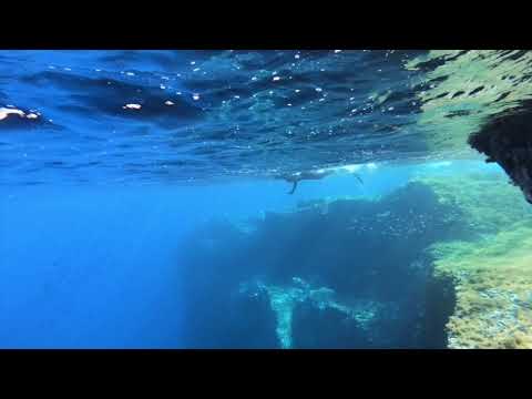 Winter Snorkeling