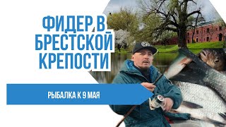 Ловим На Фидер в Брестской Крепости!