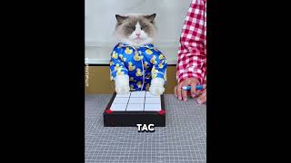 Never Cheat Against This Cat 😺