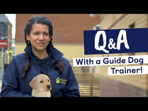 Q&A With a Guide Dogs Trainer | 