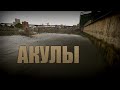 Проверка легенд | GTA IV (Выпуск 4 "Акулы")