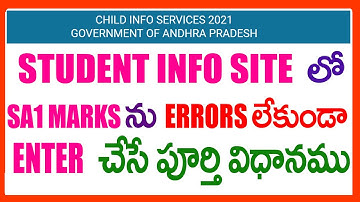 HOE JE SNEL SA1-CIJFERS INVOERT - HOE JE SA1-CIJFERS ZONDER FOUTEN INVOERT - SA1-CIJFERS 2022 INVOER