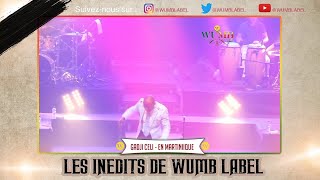 Les vidéos inédites de Wumb Label