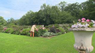 Gardens of Île-de-France: Saint Jean de Beauregard, Muriel de Curel