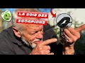 LA SOIE DES SCORPIONS