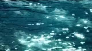 Dr Fuchs - Biliyor Musun ? - Sample