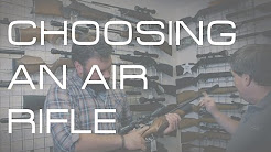 How to choose an air rifle
