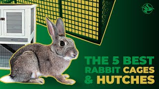 Top 5 Best Rabbit Cages and Hutches (We Tested Them All)