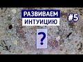 Развиваем ИНТУИЦИЮ и ЭКСТРАСЕНСОРНЫЕ способности #5 | Таро терапия Души