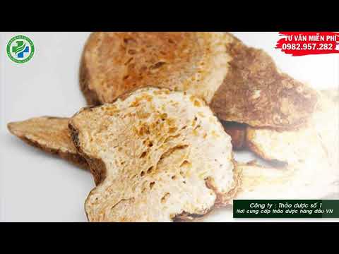 Video Bạch truật vị thuốc quý trong đông y. tác dụng bạch... - youtube