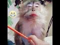 دخل تخرا بضحك دخل تخرا بضحك