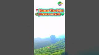 Munnar View Point 🌿 | Kerala's Hidden Paradise 😍 | #Shorts