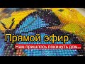 Прямой эфир . Ситуация. Война. Наше состояние . Поговорим?