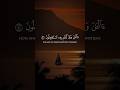 اكتب شيء تؤجر عليه تصميمي آلن وقد كنتم به تستعجلون تلاوة خاشعة عبدالرحمن مسعد راحة نفسية