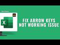 How To Fix Arrow Keys in Microsoft Excel ?