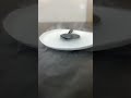 Magnetic Levitation w/ Superconductors!  #science  #physics