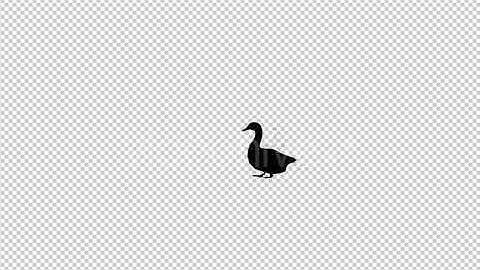 Goose Silhouette Walk Animation | Motion Graphics - Envato elements
