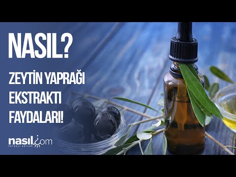 Zeytin Yaprağı Ekstraktının (Öz) Faydaları Nelerdir?