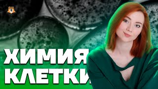 Химия клетки - первая тема для изучения | Биология ЕГЭ 2023 | Умскул screenshot 5