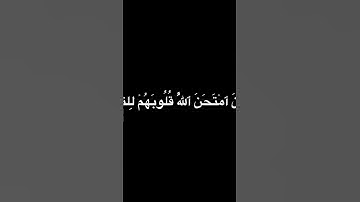 سورة الحجرات ٣-٥