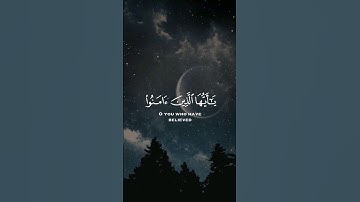 ( يا أيها الذين آمنوا اركعوا واسجدوا واعبدوا ربكم ...) | سورة الحج | المقرئ عبدالرحمن مسعد