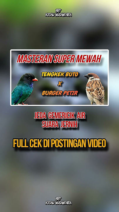 MASTERAN SUPER MEWAH💥 TENGKEK BUTO X GEREJA PETIR‼️